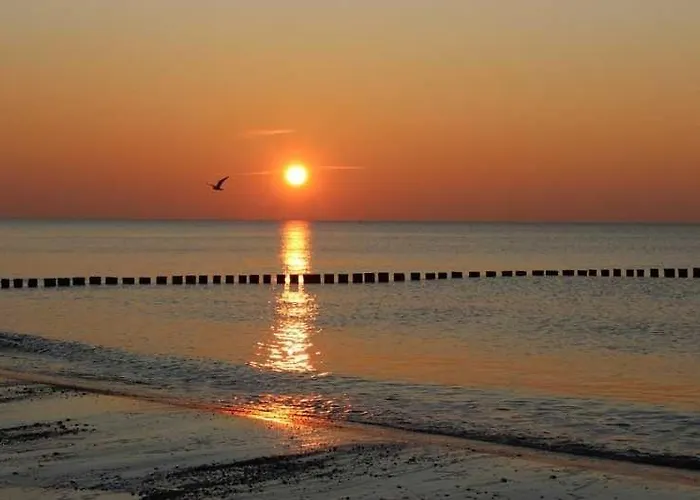 Duenenrose App Nr 03 Max 3 Pers * Dierhagen